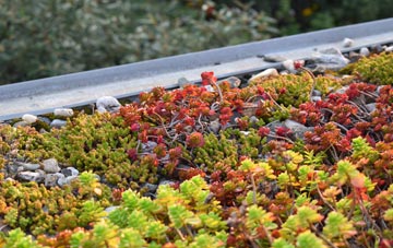 the cost of Bordesley green roof installation