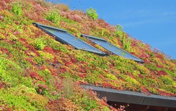 Bordesley living roof systems