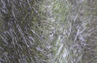 Bordesley fibreglass roof work