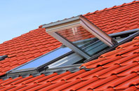 Bordesley roof window
